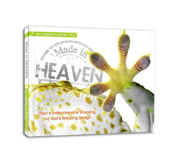 Made in Heaven
