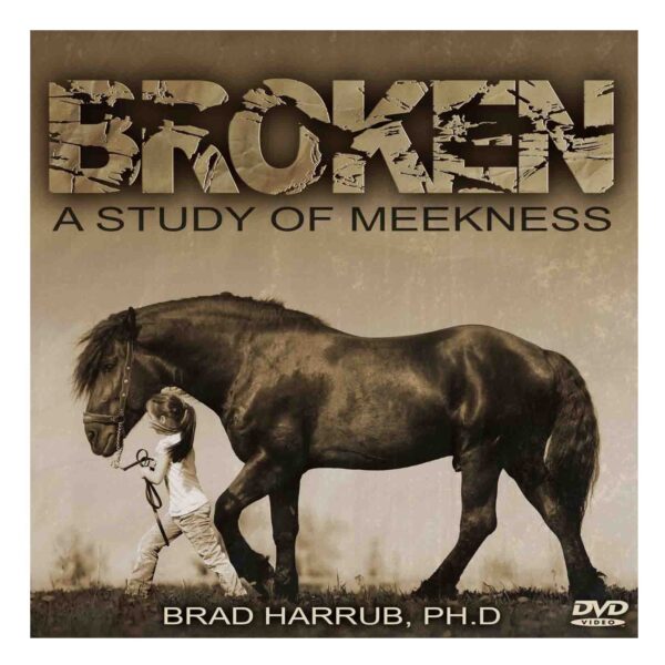 Broken (Audio Download)