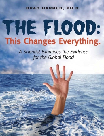 The Flood (Audio Download)