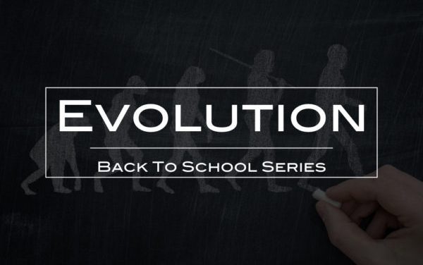 Evolution – Back to School Series