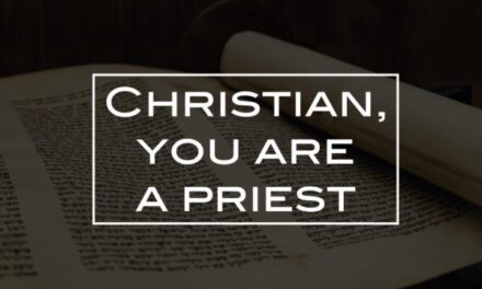 Christian, you are a priest