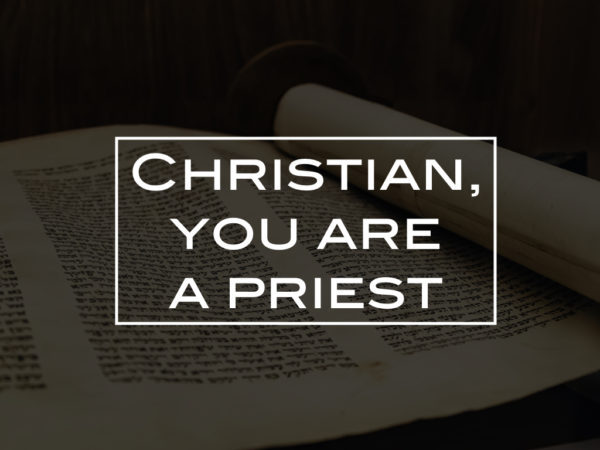 Christian, you are a priest