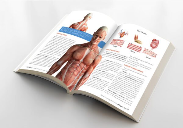 Biology: Examining the Evidence Textbook - Image 3