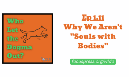 WLDO 1.11 – Why We Aren’t “Souls with Bodies”