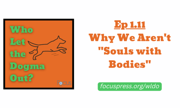 WLDO 1.11 – Why We Aren’t “Souls with Bodies”