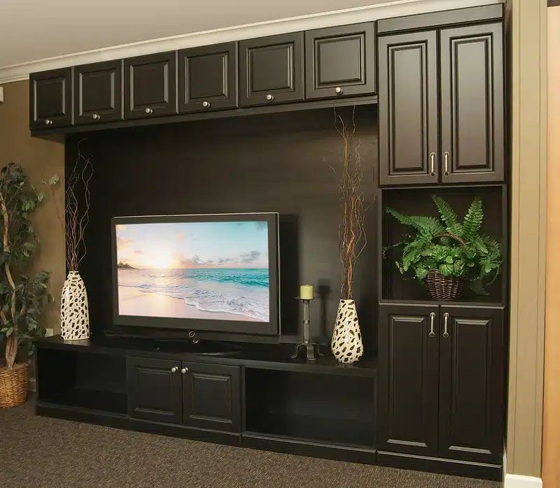 Built-in media center